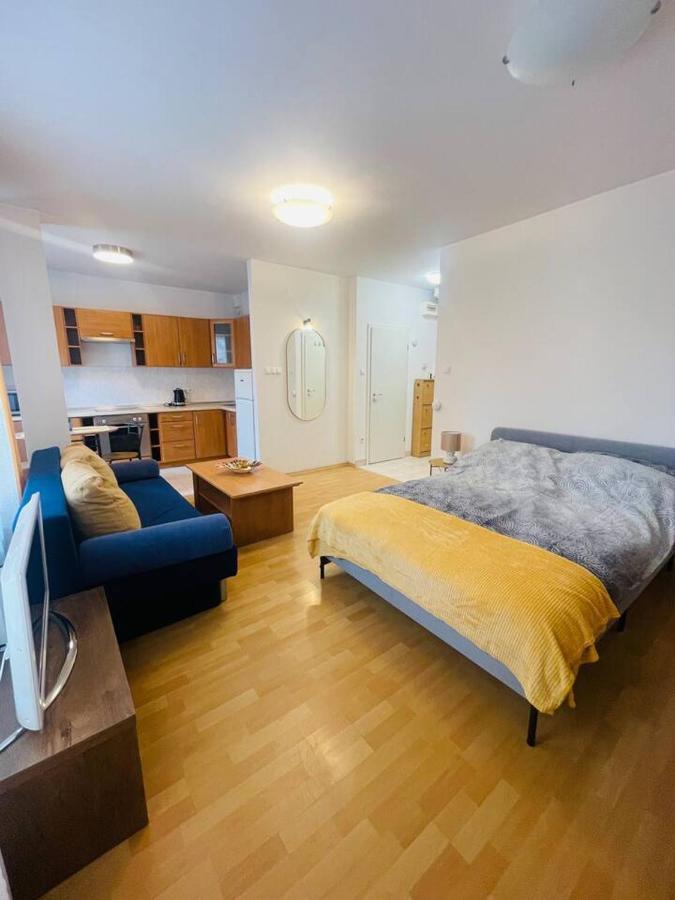 Central Studio Close To Andrassy Avenue For 4 Persons 布达佩斯 外观 照片